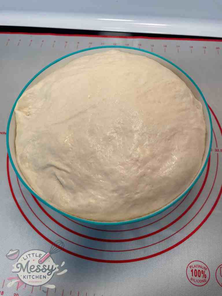 Risen bread dough in a bowl.