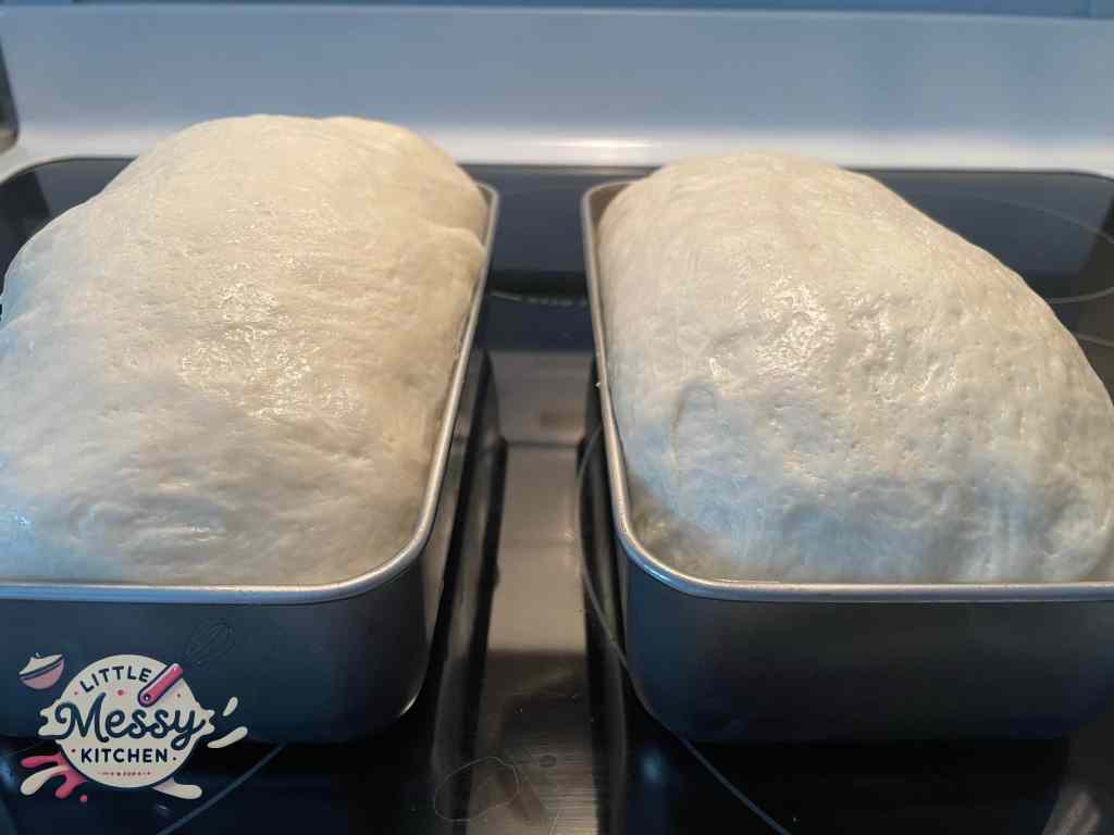 Risen dough in loaf pans.