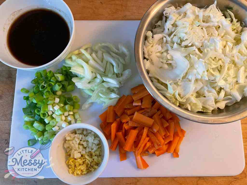 Ingredients setup on a cutting board, including: cabbage, carrots, celery, garlic, ginger, green onion and sauce.